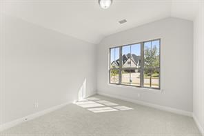 2628 Cone Flower Street - Photo 13