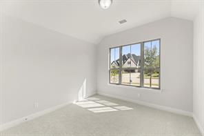 2628 Cone Flower Street - Photo 18