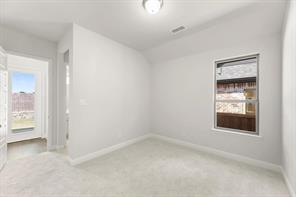 2628 Cone Flower Street - Photo 22
