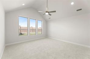 2628 Cone Flower Street - Photo 3