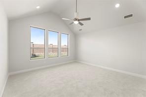 2628 Cone Flower Street - Photo 32