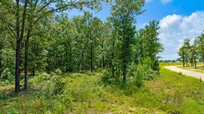 Lot 18 PR 32501 - Photo 18