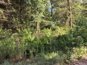 000 Dogwood Drive - Photo 1