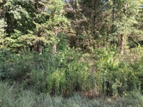 000 Dogwood Drive - Photo 3