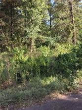 000 Dogwood Drive - Photo 4