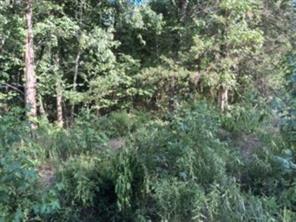 000 Dogwood Drive - Photo 5