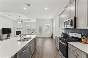7413 Bird Cherry Lane - Photo 10