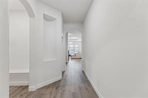 7413 Bird Cherry Lane - Photo 13