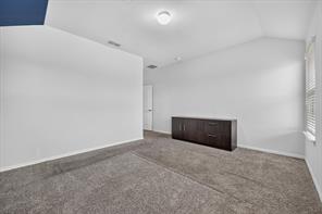 9745 Mint Hill Drive - Photo 18