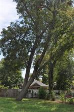 3520 Carl Street - Photo 9