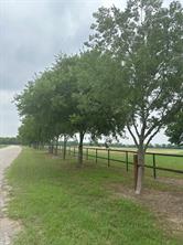 4611 Stout Road - Photo 11