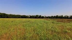 4611 Stout Road - Photo 9