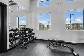 6800 Coffee Mill Court - Photo 18