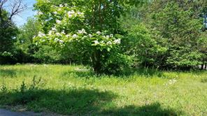 1609 Kennedy Street - Photo 2