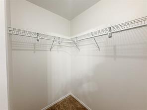 3129 Appaloosa Drive - Photo 14