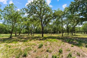 Lot 9 Lakewood Drive - Photo 3