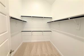 9816 Palermo Lane - Photo 11