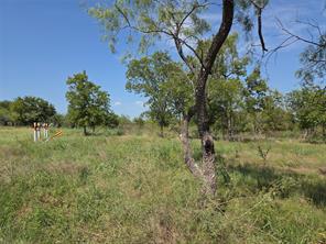 Lot 5-R4 SW County Road - Photo 10
