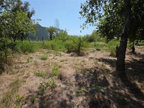 Lot 5-R4 SW County Road - Photo 11
