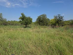 Lot 5-R4 SW County Road - Photo 16