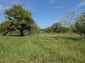 Lot 5-R4 SW County Road - Photo 17