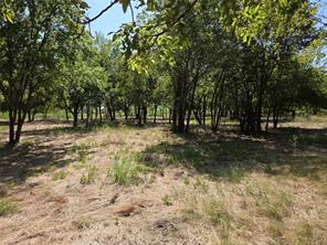 Lot 5-R4 SW County Road - Photo 19