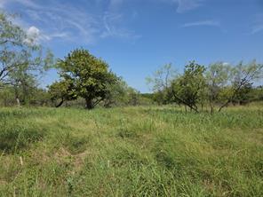 Lot 5-R4 SW County Road - Photo 2