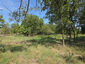 Lot 5-R4 SW County Road - Photo 21