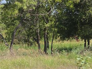 Lot 5-R4 SW County Road - Photo 30