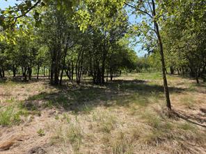 Lot 5-R4 SW County Road - Photo 31