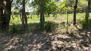 Lot 5-R4 SW County Road - Photo 33