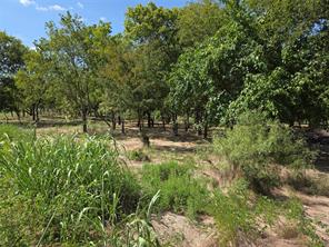 Lot 5-R4 SW County Road - Photo 34