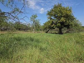 Lot 5-R4 SW County Road - Photo 39