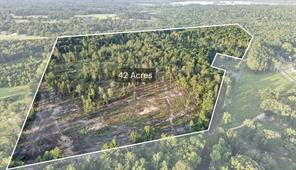 TBD 42 Acres CR 3116 - Photo 1