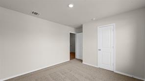 2904 Peppergrass Street - Photo 32