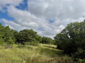 1315 County Road 419 - Photo 1