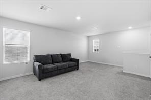 17354 Gentle Doves Lane - Photo 21