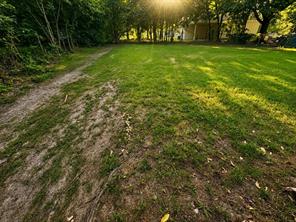 413 Gates Street - Photo 4