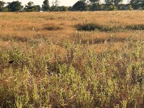 TBD N Hickory Rd - Photo 3