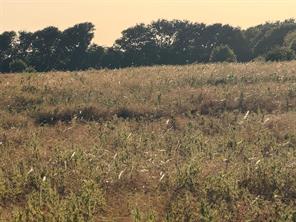 TBD N Hickory Rd - Photo 4