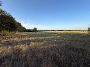 TBD N Hickory Rd - Photo 8