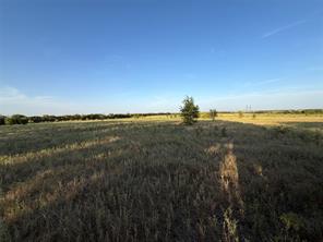 TBD N Hickory Rd - Photo 9