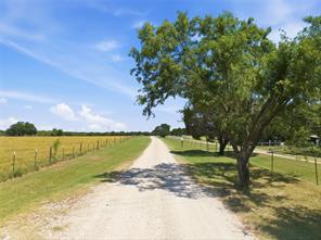 289 Patrick Road - Photo 3