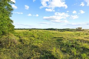 TBD Bethany Road - Photo 10