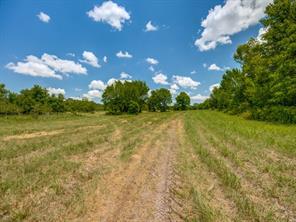TBD County Road 1110 - Photo 10