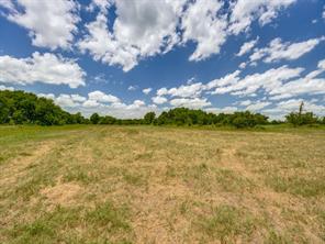 TBD County Road 1110 - Photo 7