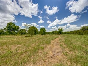 TBD County Road 1110 - Photo 8