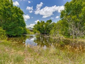 TBD County Road 1110 - Photo 9