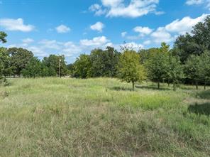 4400 County Road 3706 Road - Photo 16