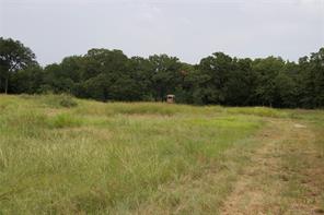 1309 County Road 1895 - Photo 12